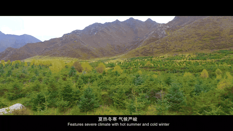 a62e8efcb98c4ea5b17006e59bc32754.gif